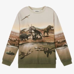 Molo Teen Boys Green Cotton Dinosaur Sweatshirt
